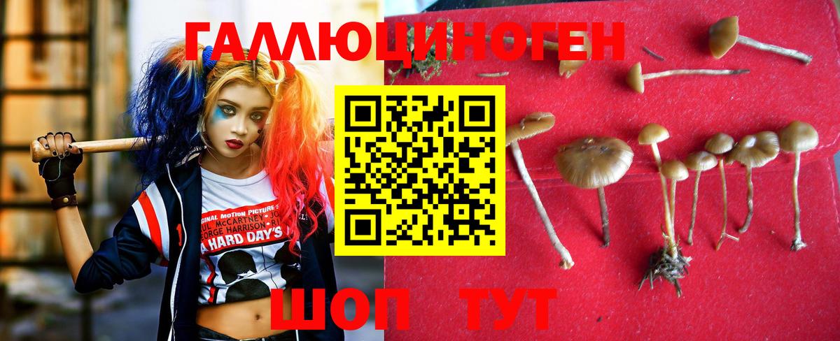 Курчалой  Галлюциногенные грибы мухоморы  Вход с VPN 